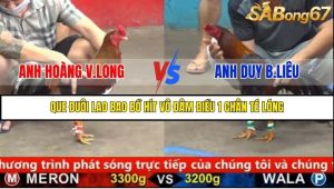 Trận 4 Bồ Gà C5 18/8/2025