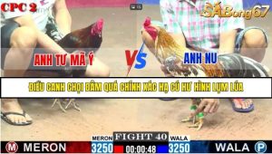 Trận 40 Bồ Gà C2 Ngày 6/8/2025