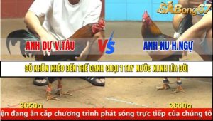 Trận 44 Bồ Gà C4 17/8/2025