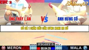 Trận 5 Bồ Gà C2 Ngày 3/8/2025