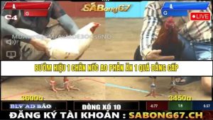 Trận 5 Bồ Gà C4 Ngày 16/8/2025