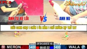 Trận 6 Bồ Gà C2 Ngày 6/8/2025