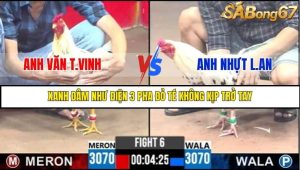 Trận 6 Bồ Gà C3 Ngày 3/8/2025