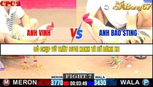 Trận 7 Bồ Gà C2 Ngày 1/8/2025