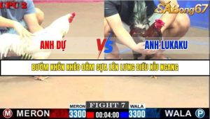 Trận 7 Bồ Gà C2 Ngày 3/8/2025