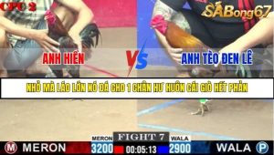 Trận 7 Bồ Gà C2 Ngày 6/8/2025