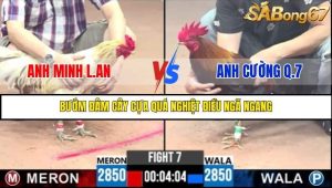 Trận 7 Bồ Gà C3 Ngày 3/8/2025
