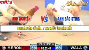 Trận 8 Bồ Gà C2 Ngày 1/8/2025