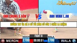 Trận 8 Bồ Gà C3 Ngày 1/8/2025