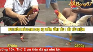 Trận 8 Bồ Gà CPC5 Ngày 14/8/2025
