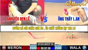 Trận 9 Bồ Gà C2 Ngày 3/8/2025