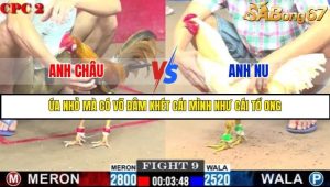 Trận 9 Bồ Gà C2 Ngày 6/8/2025