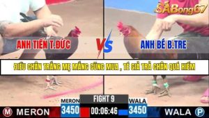 Trận 9 Bồ Gà C3 Ngày 3/8/2025